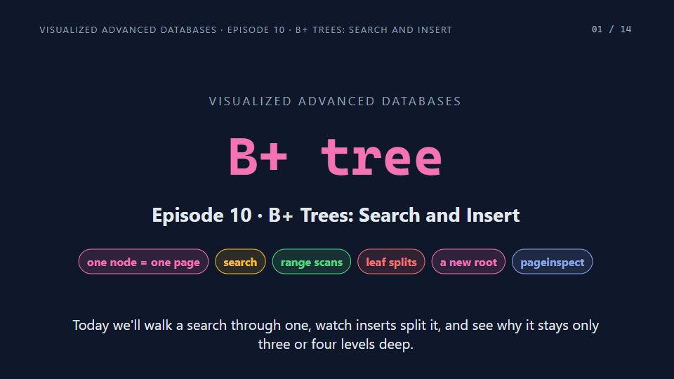Title card of Episode 10: B+ Trees: Search and Insert
