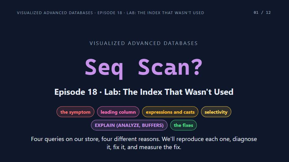 Title card of Episode 18: Lab: The Index That Wasn't Used
