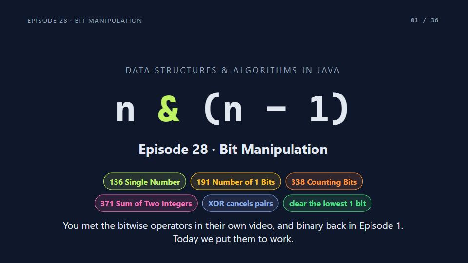 Title card of Episode 28: Bit Manipulation